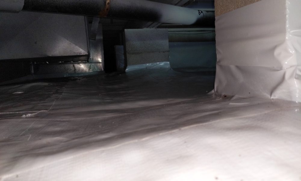 IMG_20240702_184752_01