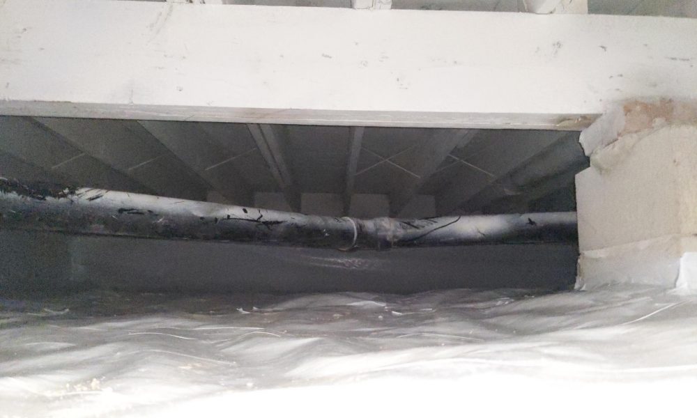 IMG_20240702_184925_01