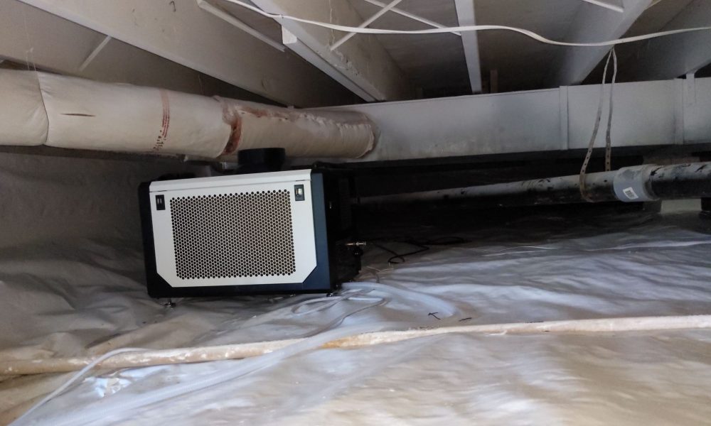 IMG_20240702_185007_01 (1)