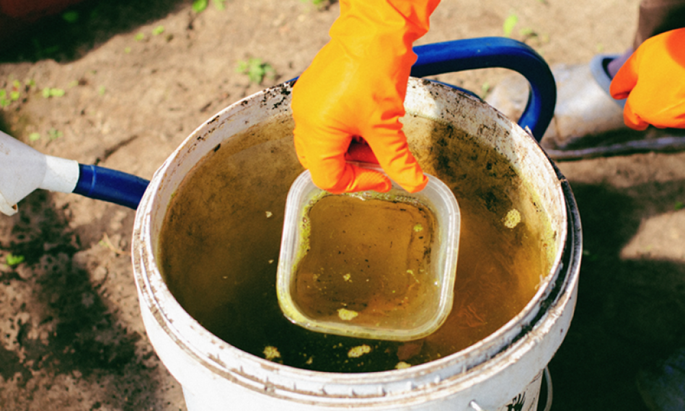 SMALL sewage middle-aged-woman-watering-seedlings-in-a-greenhou-2023-11-27-05-34-01-utc (1)